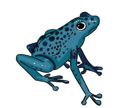 Image result for How to Draw Simple Frog