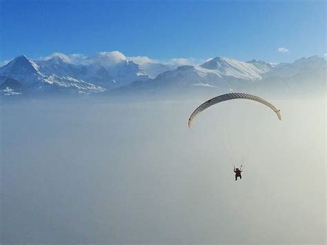 TWIN PARAGLIDING (Updated 2026) All You Need to Know BEFORE You Go ...