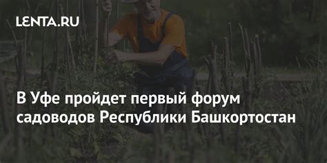 В Уфе пройдет первый форум садоводов Республики Башкортостан: Природа ...
