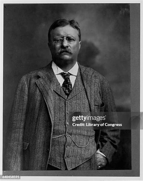 Teddy Roosevelt 的图像结果