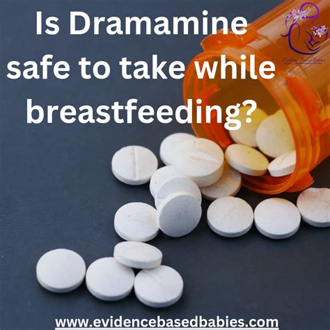 Dramamine While Pregnant