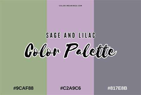 34 Colors That Go With Lilac (Color Palettes) | Color Meanings