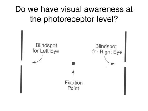 Image result for Visual Awareness