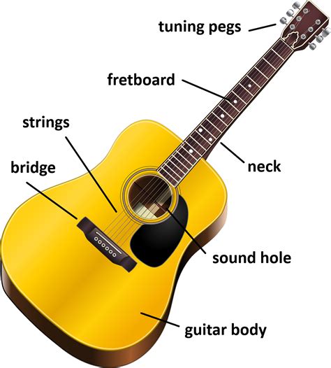 Cello Instrument Parts