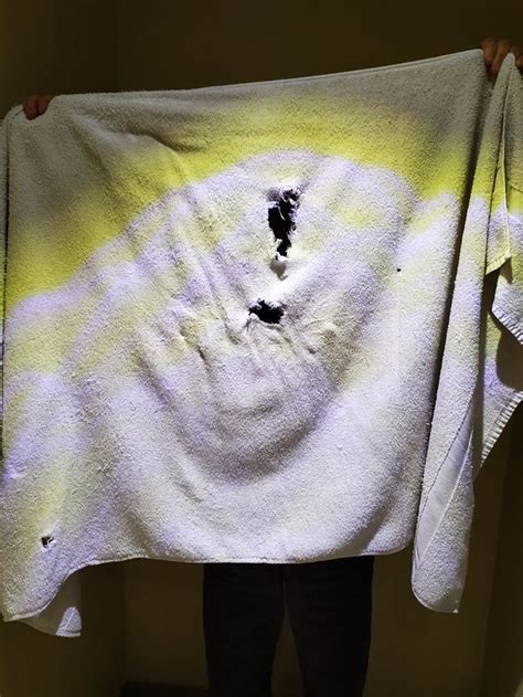 THE PALACE GUEST HOUSE HARARE - Guesthouse Reviews, Photos, Rate ...