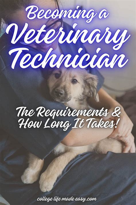 Vet Tech Course 的图像结果