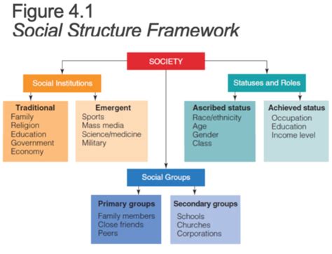 Image result for Social Structure Examples