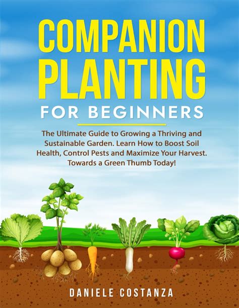 Buy Companion Planting for Beginners: The Ultimate Guide to Growing a ...