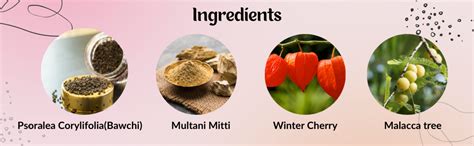 PureDust Natural Herbal Powder Sachets for all skin types - Pack of 25 ...