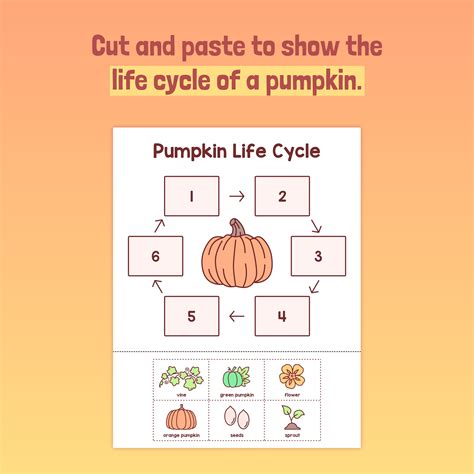 Pumpkin Activity | Life Cycle of Pumpkins Craft Worksheet – Fall ...