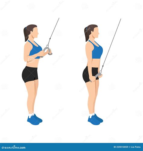Woman Doing Cable Tricep Pull Down or Push Exercise. Stock Vector ...