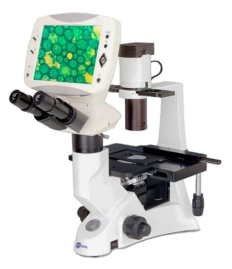 Inverted Microscope 的图像结果