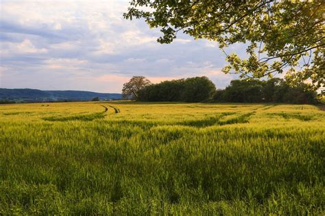 Home | City of Rittman