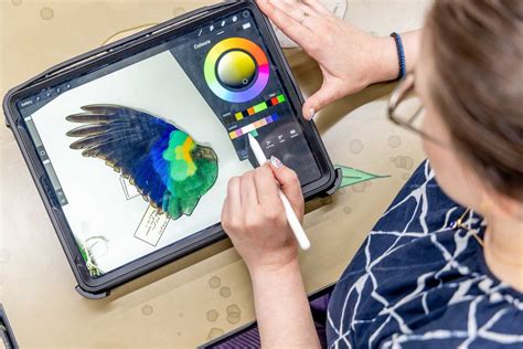 Digital Art Class: Feathered Features, 11 Nicholson St, Carlton, VIC ...