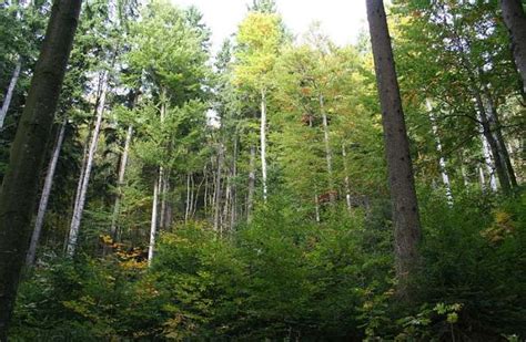 13 Picturesque Bahamas National Parks That You Must Visit