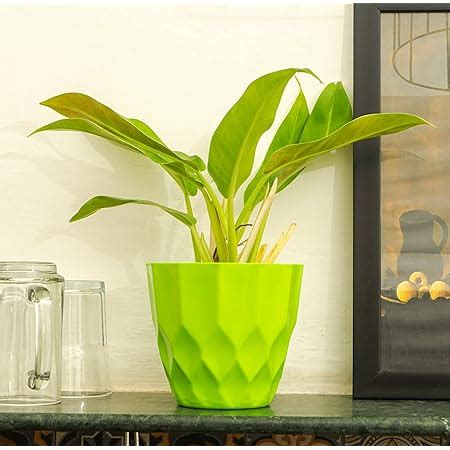 KYARI Heera Plastic Pots for Indoor Plants with Drainage Hole (Best ...