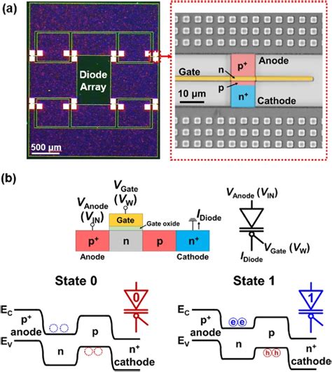 Image result for Artificial Neural Network Vector Matrix Multiplication