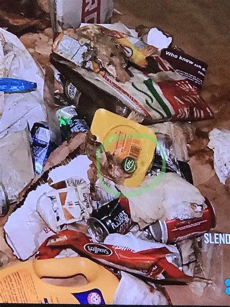 Just watched the Casey Anthony friends documentary. This is the garbage ...