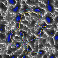 Create Animations - P2 Practice Terragen Contest (10156), Pictures Page ...