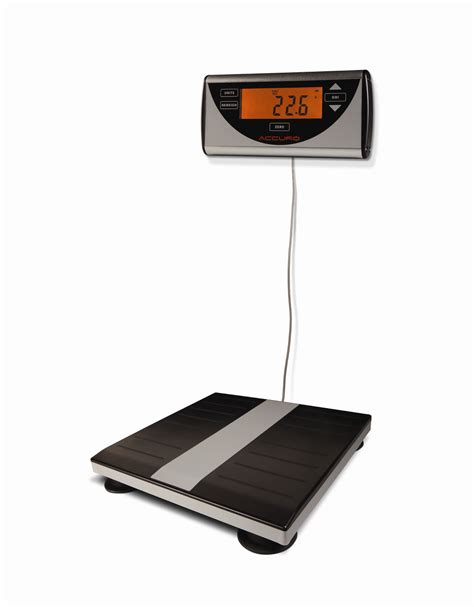 Brandt Industries - Digital Medical Scales - All Scales - Digital scale with remote wall mounted ...