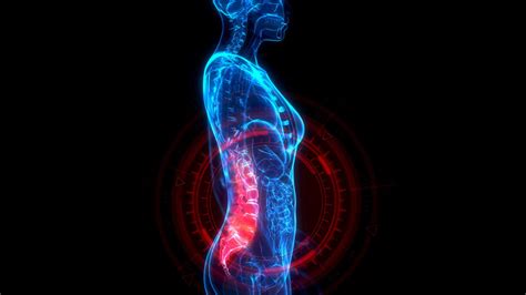 Image result for How to Solve Back Problems