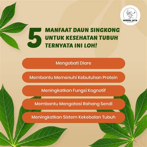 manfaat daun binahong