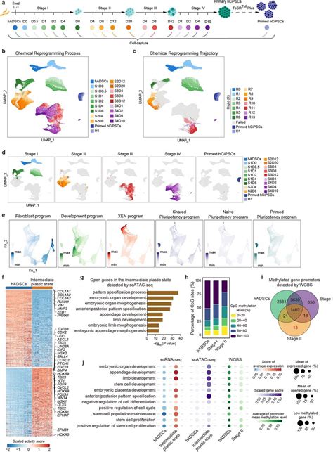 Image result for Chemical Reprogramming