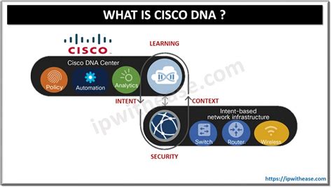 Cisco DNA Application 的图像结果