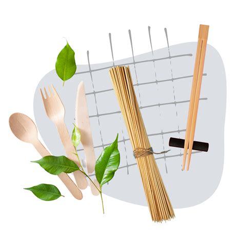 Eco-Friendly Biodegradable Tableware - Made in India | Prakritii