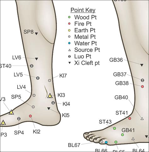 Acupuncture 的图像结果