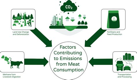 The Environmental Impact Of Beef Production: What You Need To Know