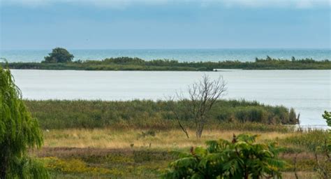 Oshawa 2022, #52 places to visit in ontario, top things to do, reviews ...