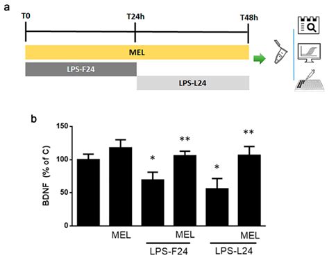 Melatonin Activates Anti-Inflammatory Features in Microglia in a ...