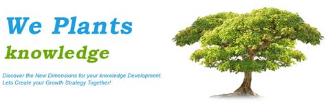 A one Data Solutions