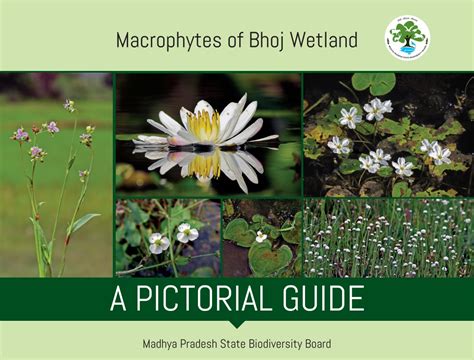 Madhya Pradesh State Biodiversity Board (MPSBB)