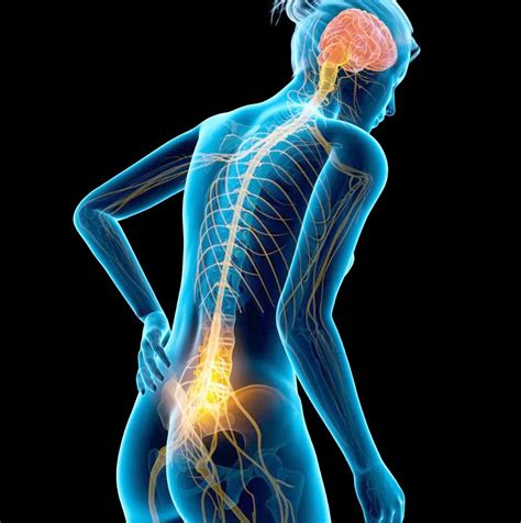 Terms For Nerve Pain: Radiculopathy, Radiculitis, Neuritis - El Paso ...