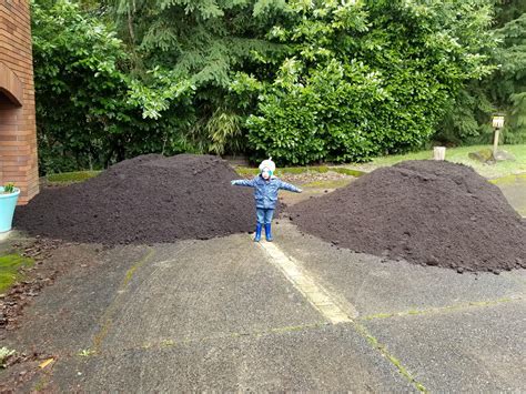 How Much Is 5 Yards at Jerome Diamond blog