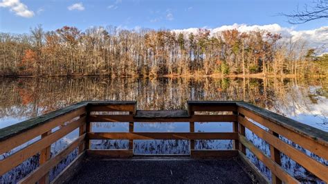 Donate Your Car or Auto to a Goodwill Charity in Fairfax VA