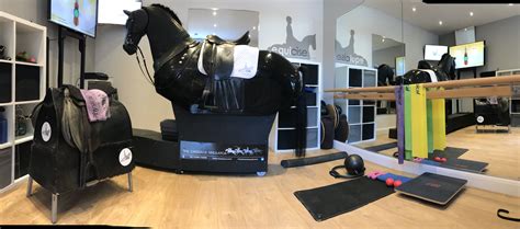 Horse Riding Simulator Exercise Machine 的图像结果