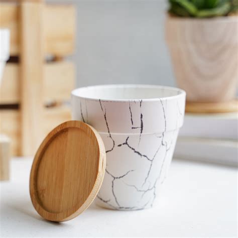 Ceramic Planter With Wooden Base - Table Ceramic Planter | Nestasia