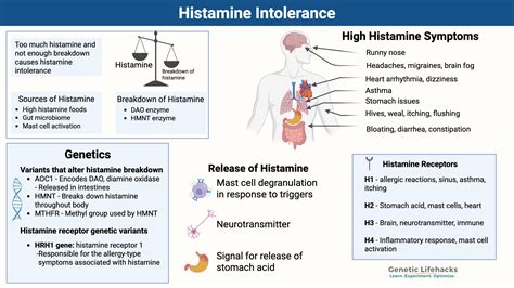Histamine Metabolism Test
