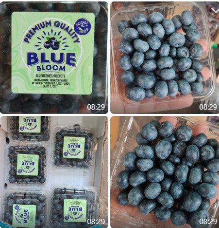 Premium Fruits – EgRúm