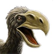 Image result for Extinct Bricks Phorusrhacos