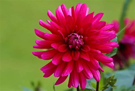 Image result for Red Program Code