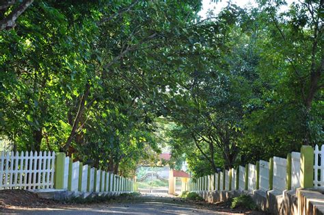 St.Mary's College, Sulthan Bathery, Wayanad