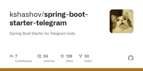 Image result for Spring Boot Java Tutorial in Telegram