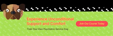 Psychiatric Service Dog Task Training 的图像结果