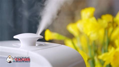 Image result for Humidifier at Home