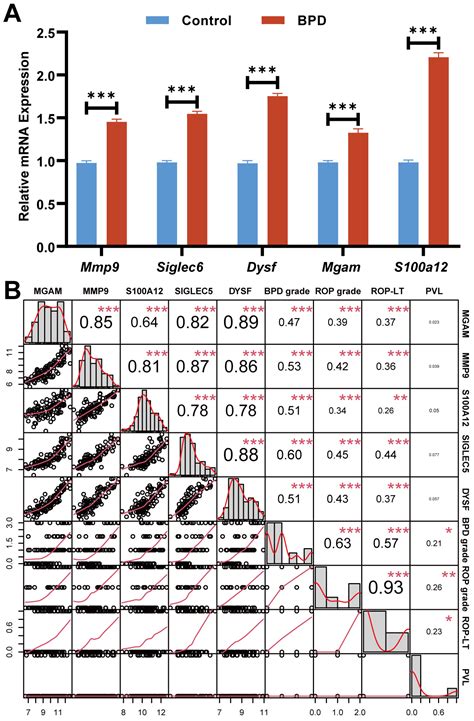 Machine Learning Identification of Neutrophil Extracellular Trap ...