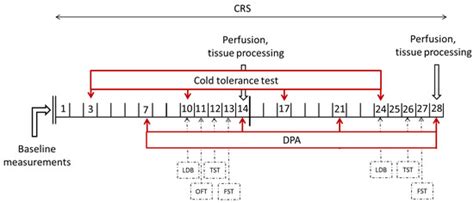 IL-1 Mediates Chronic Stress-Induced Hyperalgesia Accompanied by ...
